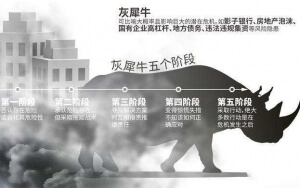 小心，中國(guó)產(chǎn)業(yè)園區(qū)的“灰犀?！庇謥?lái)了！